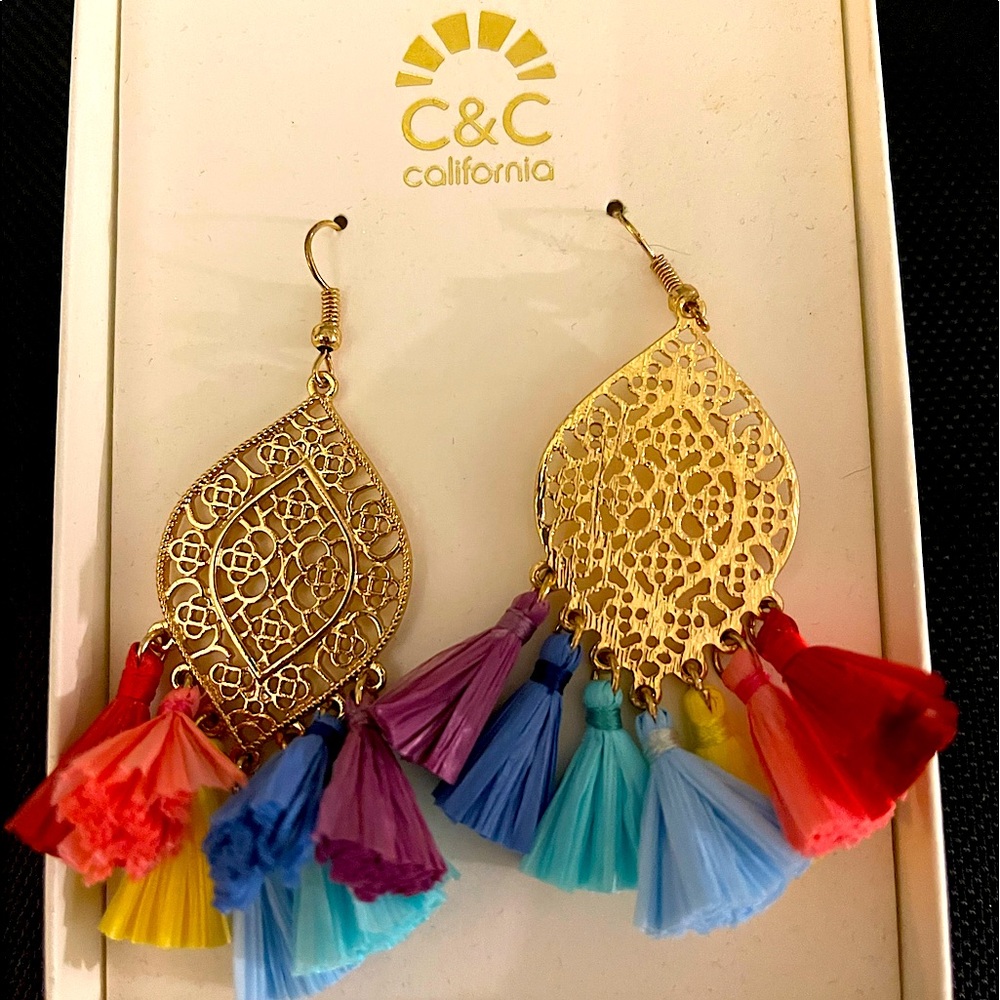 Rainbow Colorful earrings